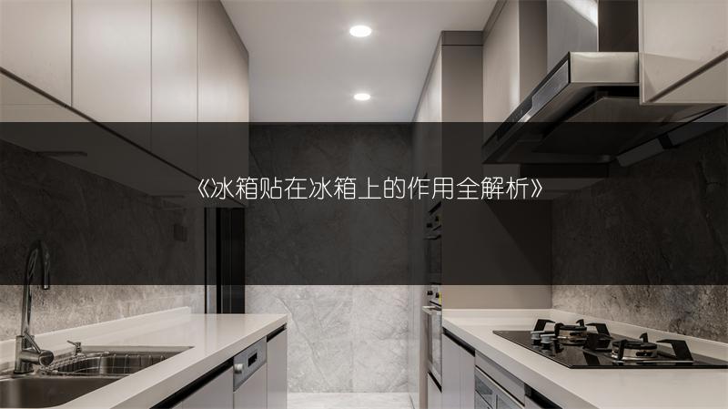 《冰箱贴在冰箱上的作用全解析》