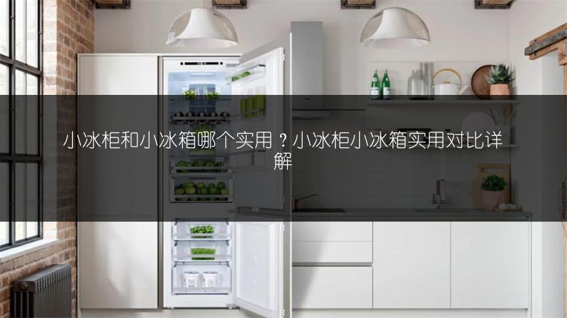 小冰柜和小冰箱哪个实用？小冰柜小冰箱实用对比详解