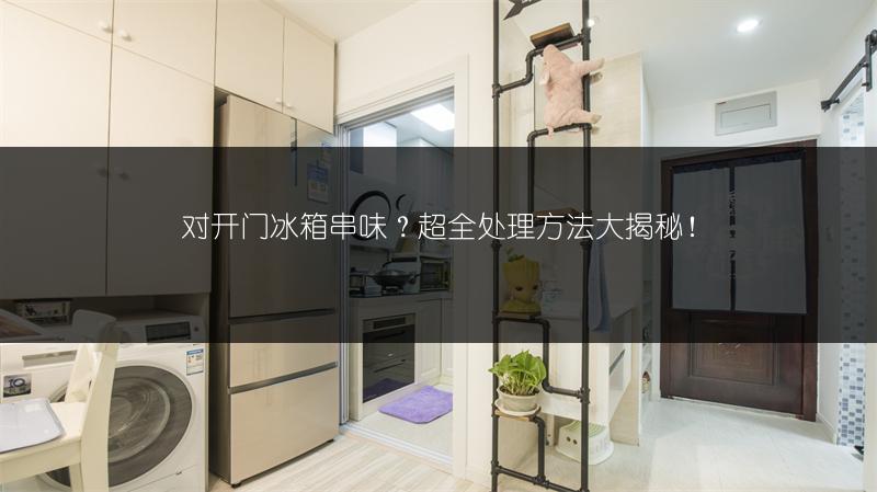对开门冰箱串味?超全处理方法大揭秘!