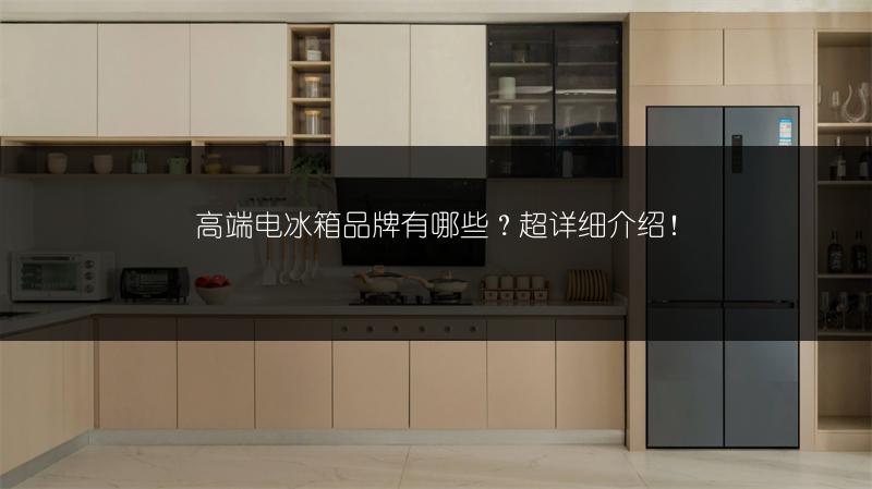 高端电冰箱品牌有哪些？详细介绍！