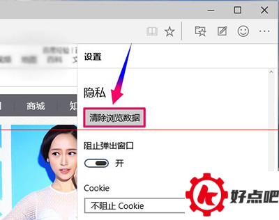 win10浏览器Microsoft Edge设置