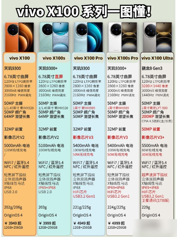 vivo X100