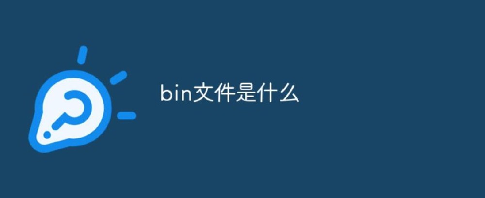 bin文件