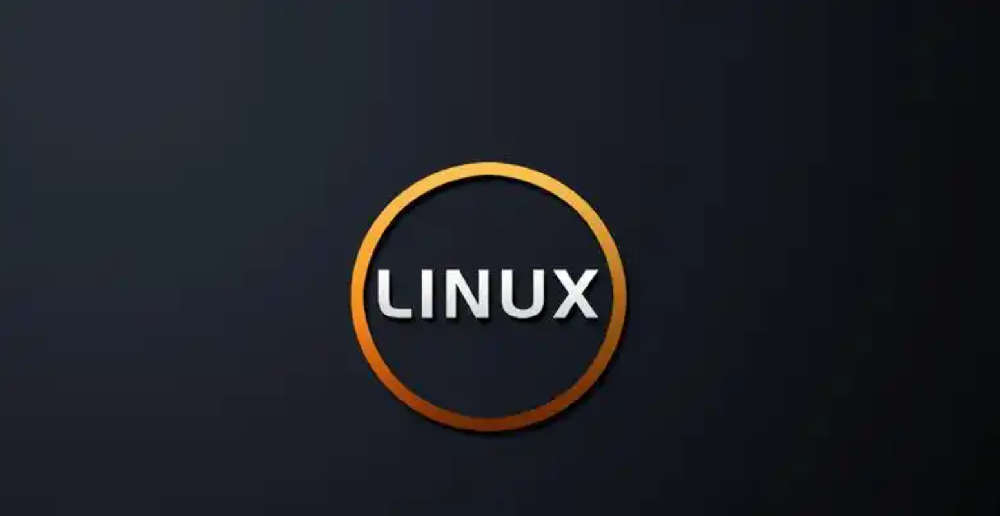 linux设置环境
